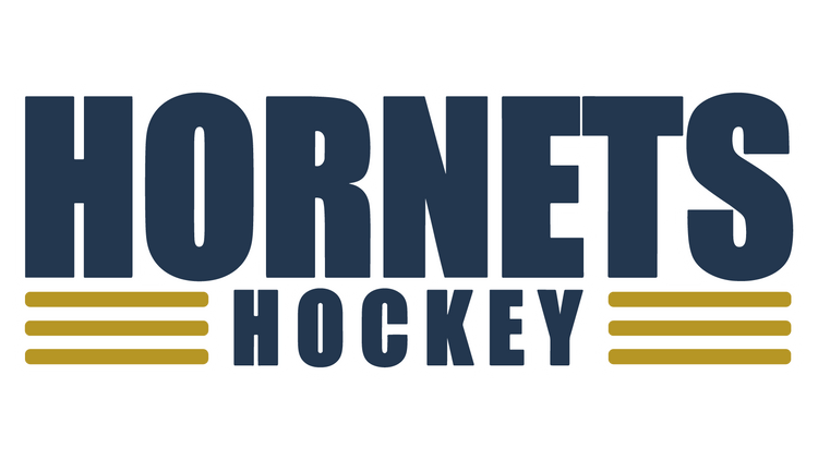 HORNETS Collection Image