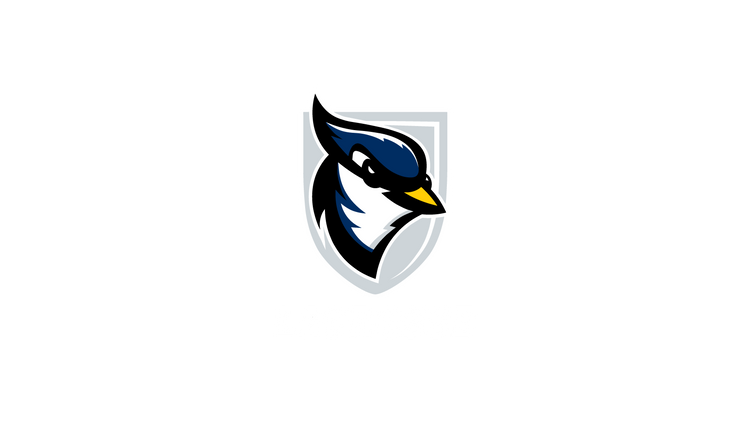 USJ women’s lacrosse Collection Image