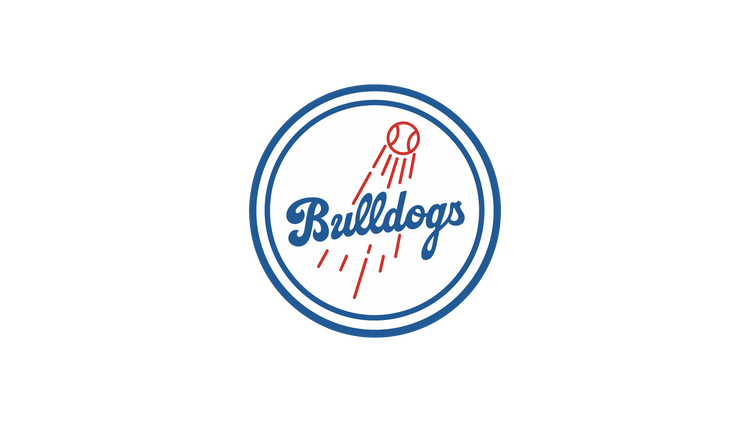 Hamilton Bulldogs Collection Image