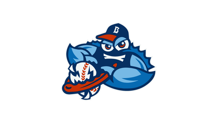 Bellport BlueClaws - Makefield