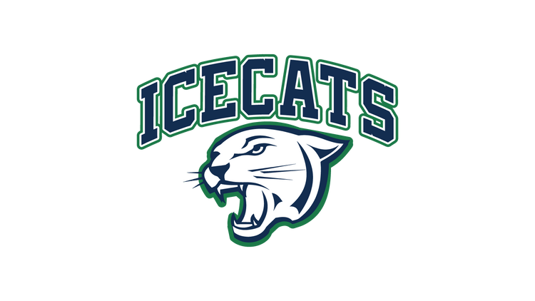 Ice Cats - Makefield