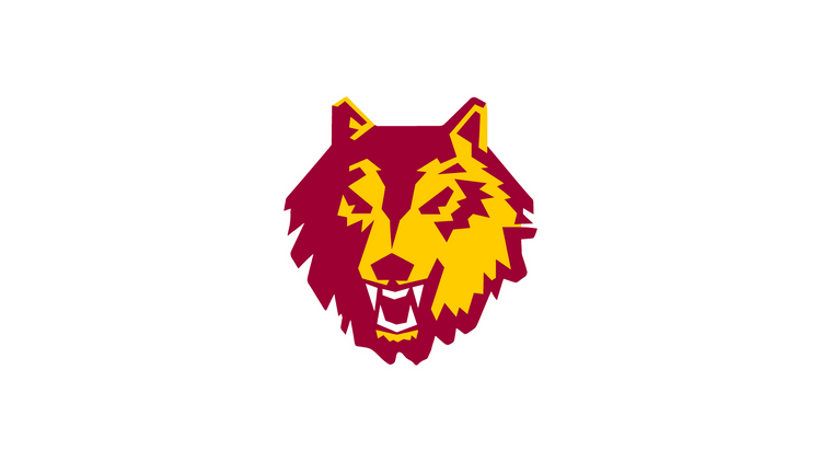Loyola University Chicago Club Waterpolo - Makefield