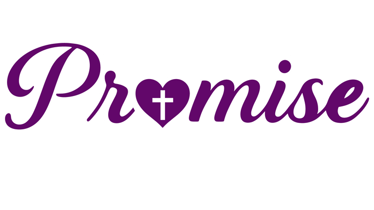 Sons and Daughters of Promise, Inc. Collection Image