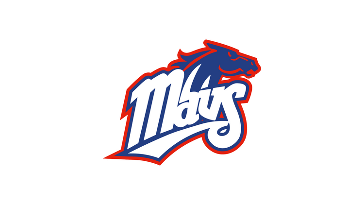 Upper Makefield Mavs - U8 Baseball - Makefield