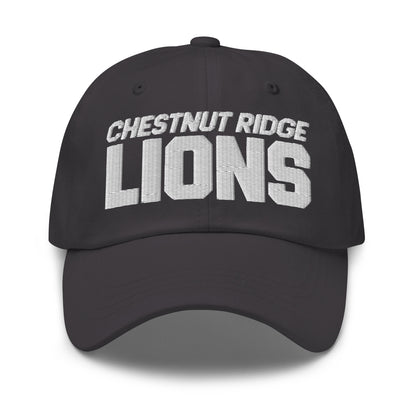 Dad Hat | Chestnut Ridge Lions Football | Script Logo