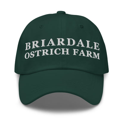 Dad Hat | Briardale Ostrich Farm | Script Logo