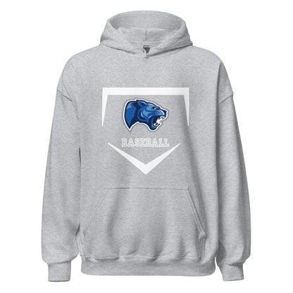 Classic | Hoodie | Denmark Technical College | Baseball Logo