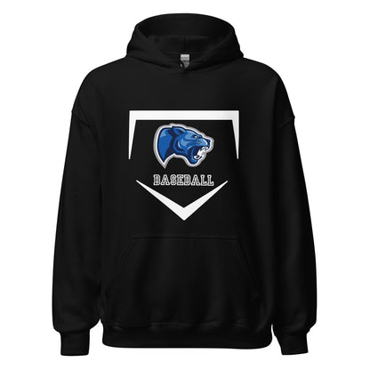 Classic | Hoodie | Denmark Technical College | Baseball Logo
