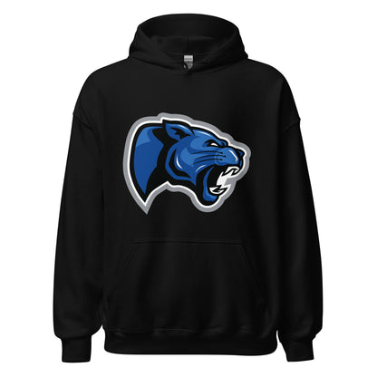 Classic | Hoodie | Denmark Technical College