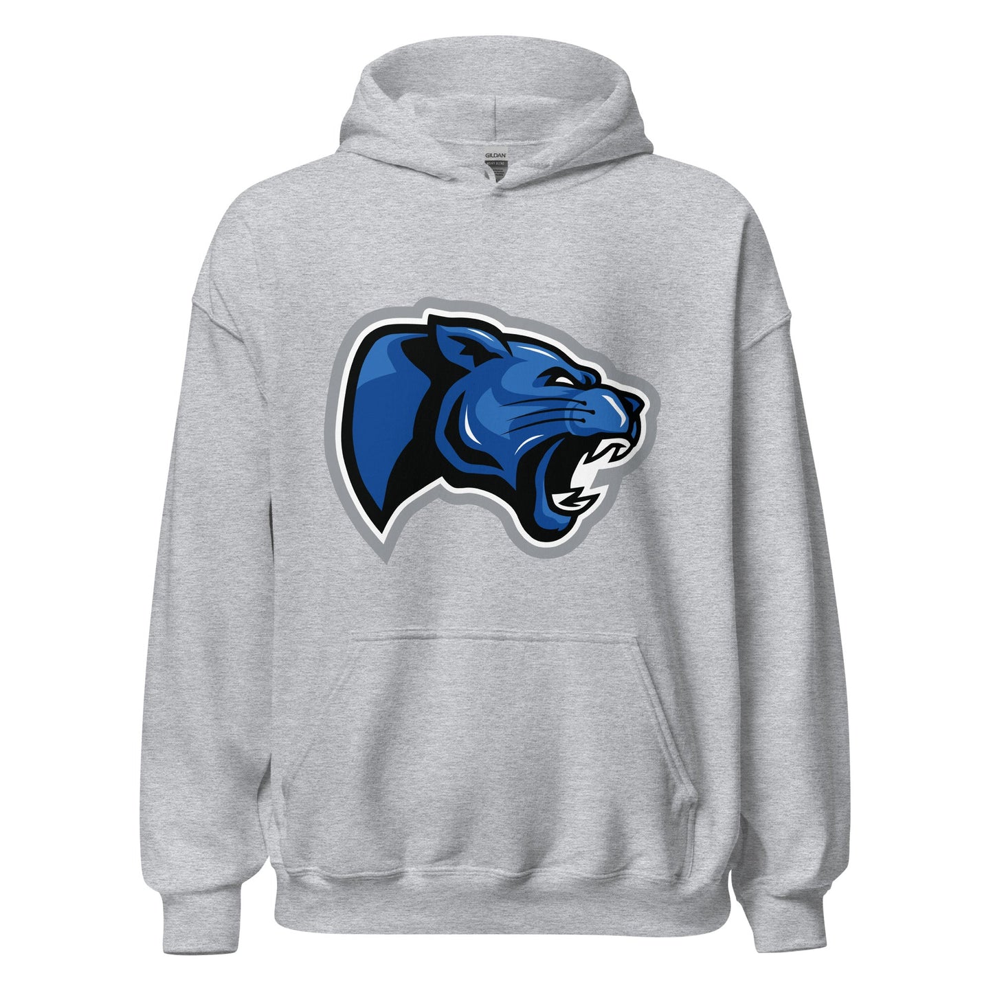 Classic | Hoodie | Denmark Technical College