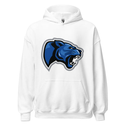 Classic | Hoodie | Denmark Technical College