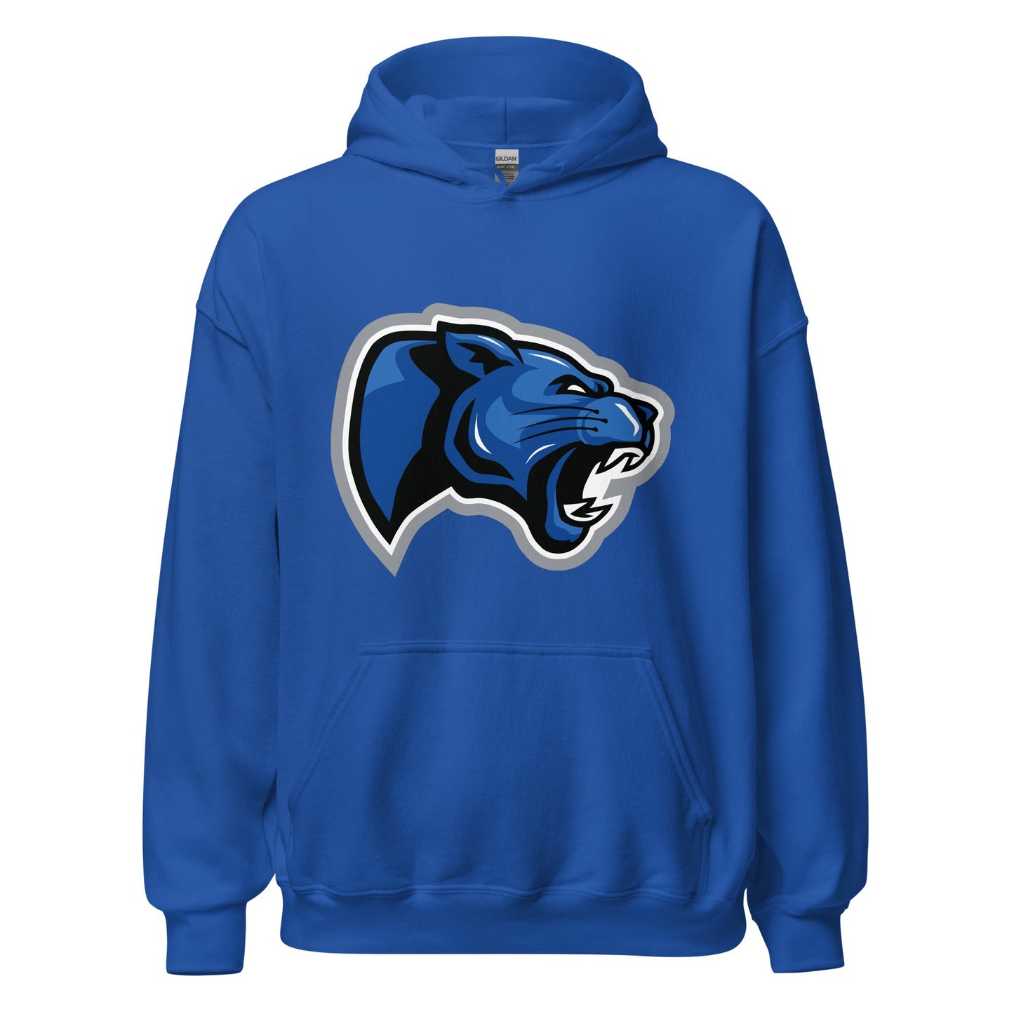 Classic | Hoodie | Denmark Technical College