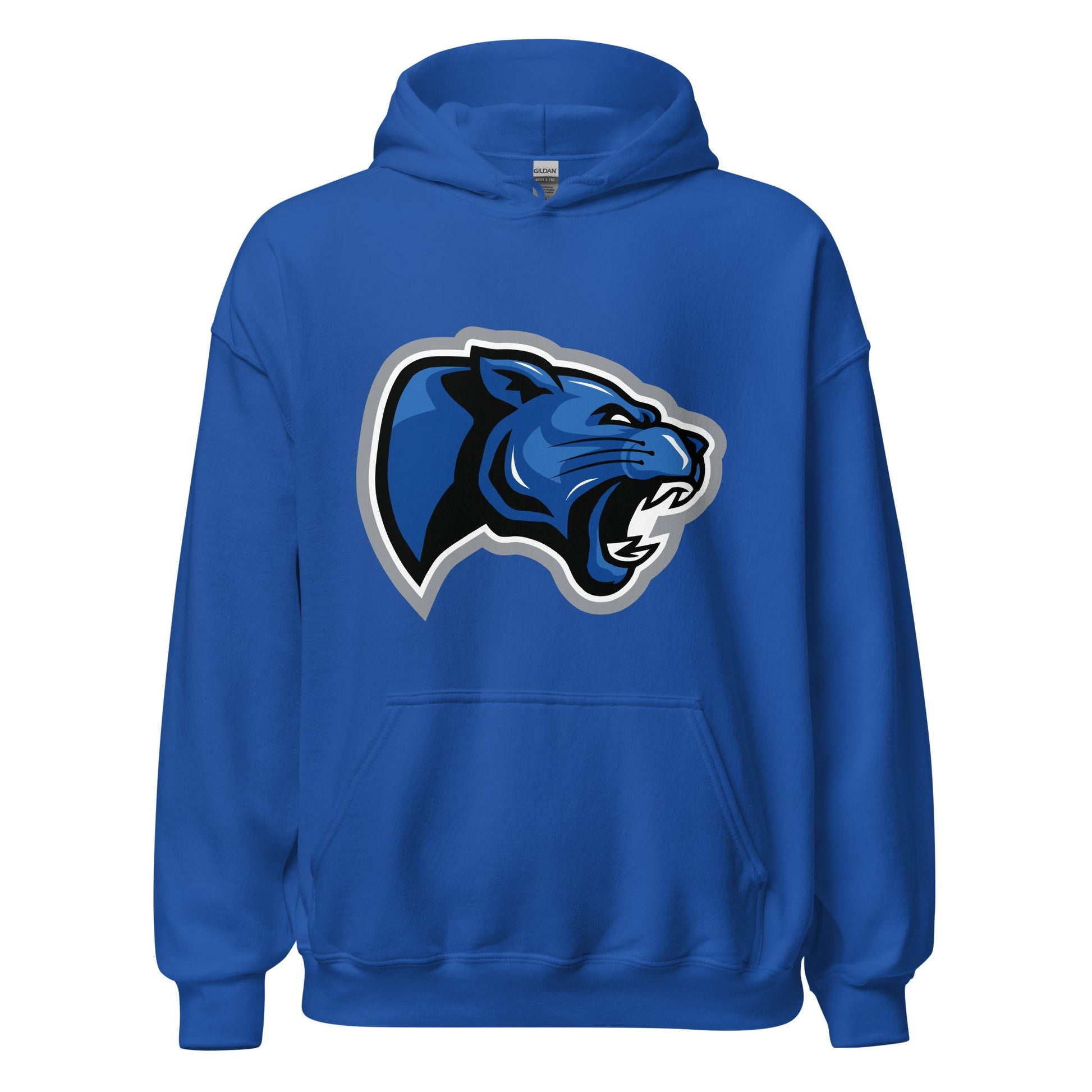 Classic | Hoodie | Denmark Technical College