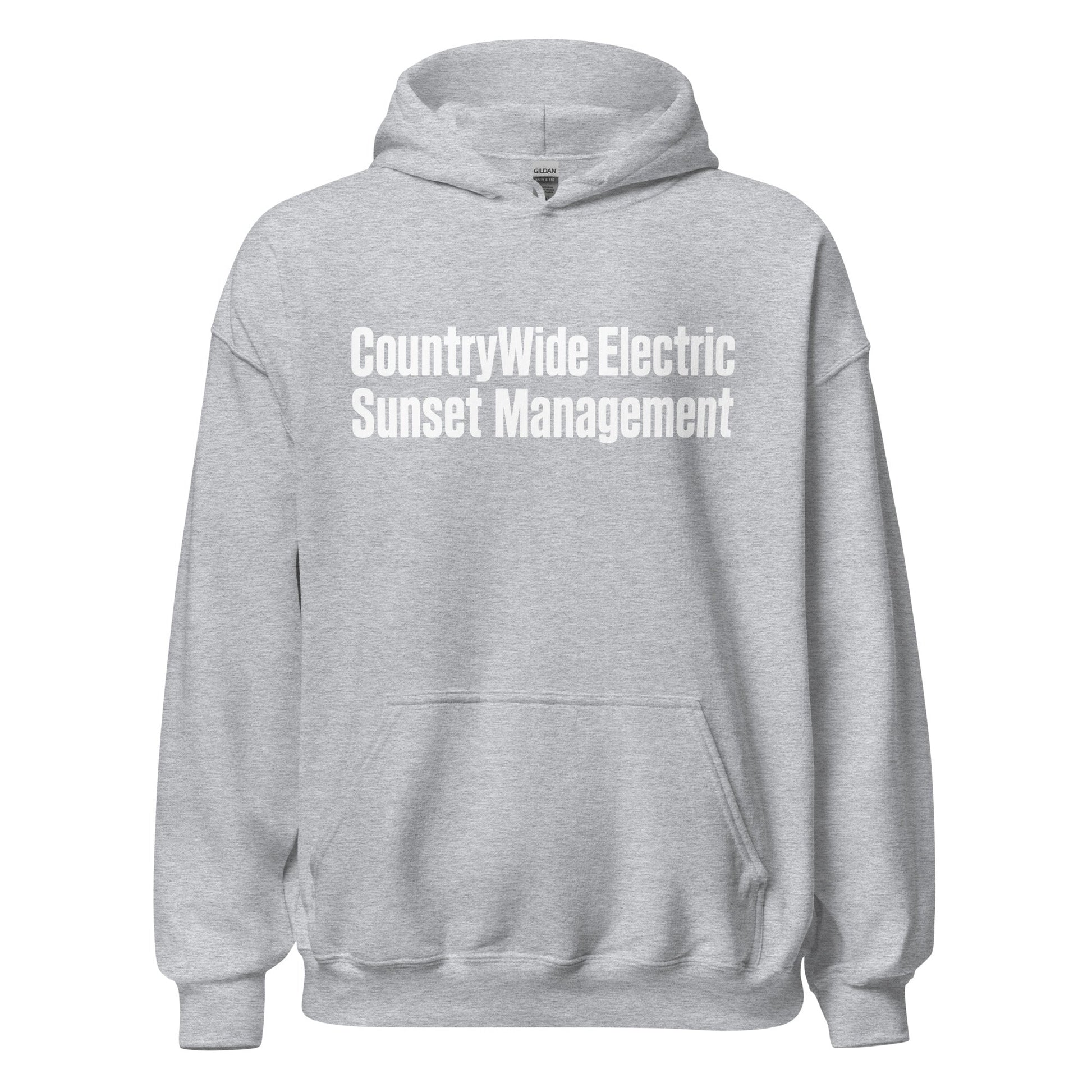 Classic | Hoodie | FerDa Chicks | Modern Script Logo