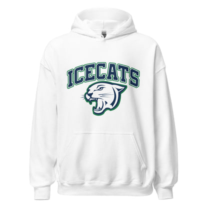Classic | Hoodie | Ice Cats