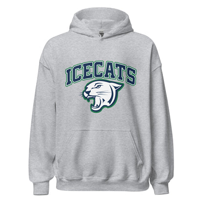 Classic | Hoodie | Ice Cats