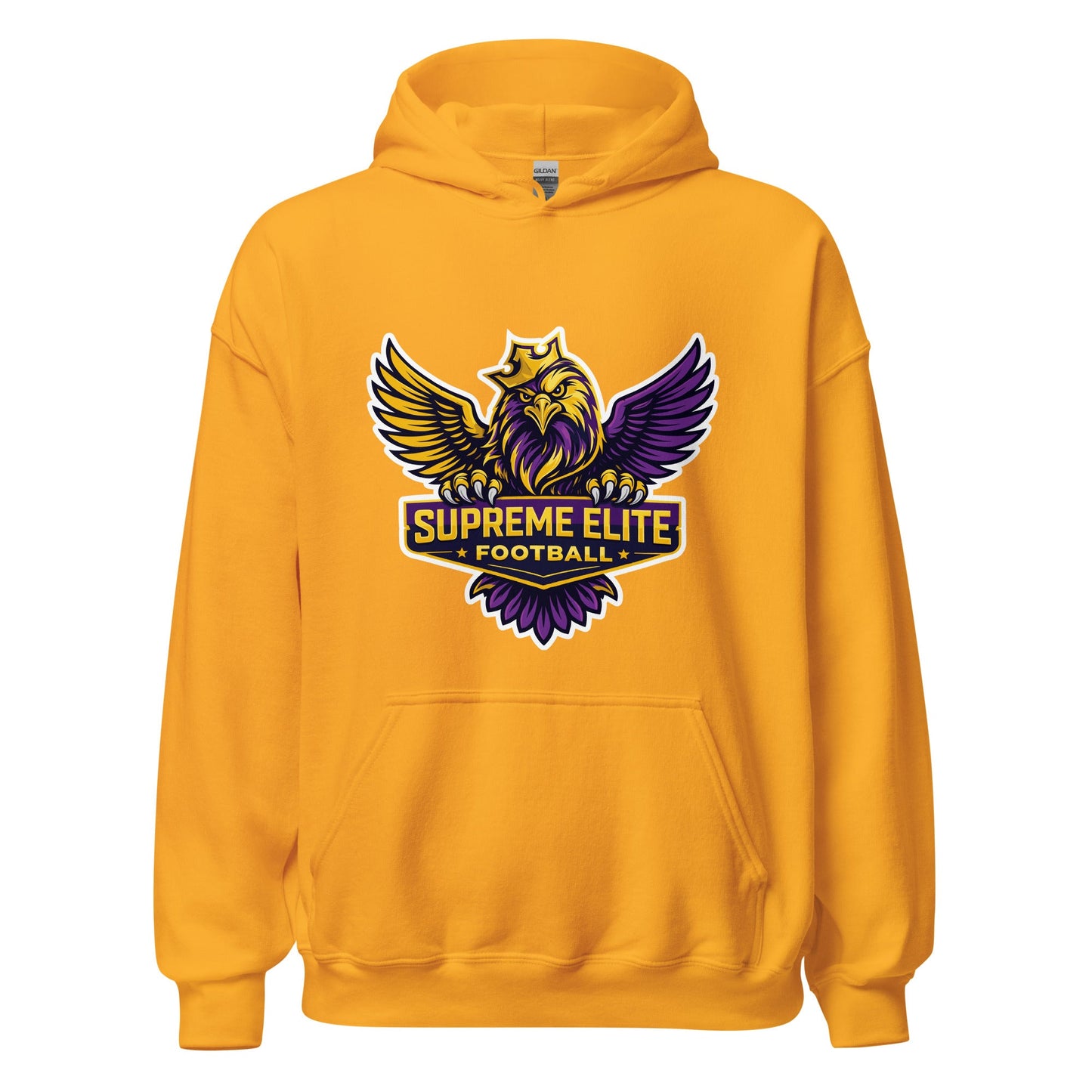 Classic | Hoodie | Iron eagle | SEF Logo