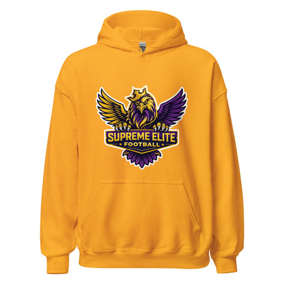 Classic | Hoodie | Iron eagle | SEF Logo