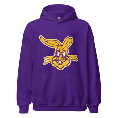 Classic | Hoodie | Somerset Athletics | Jumpers mascot Logo