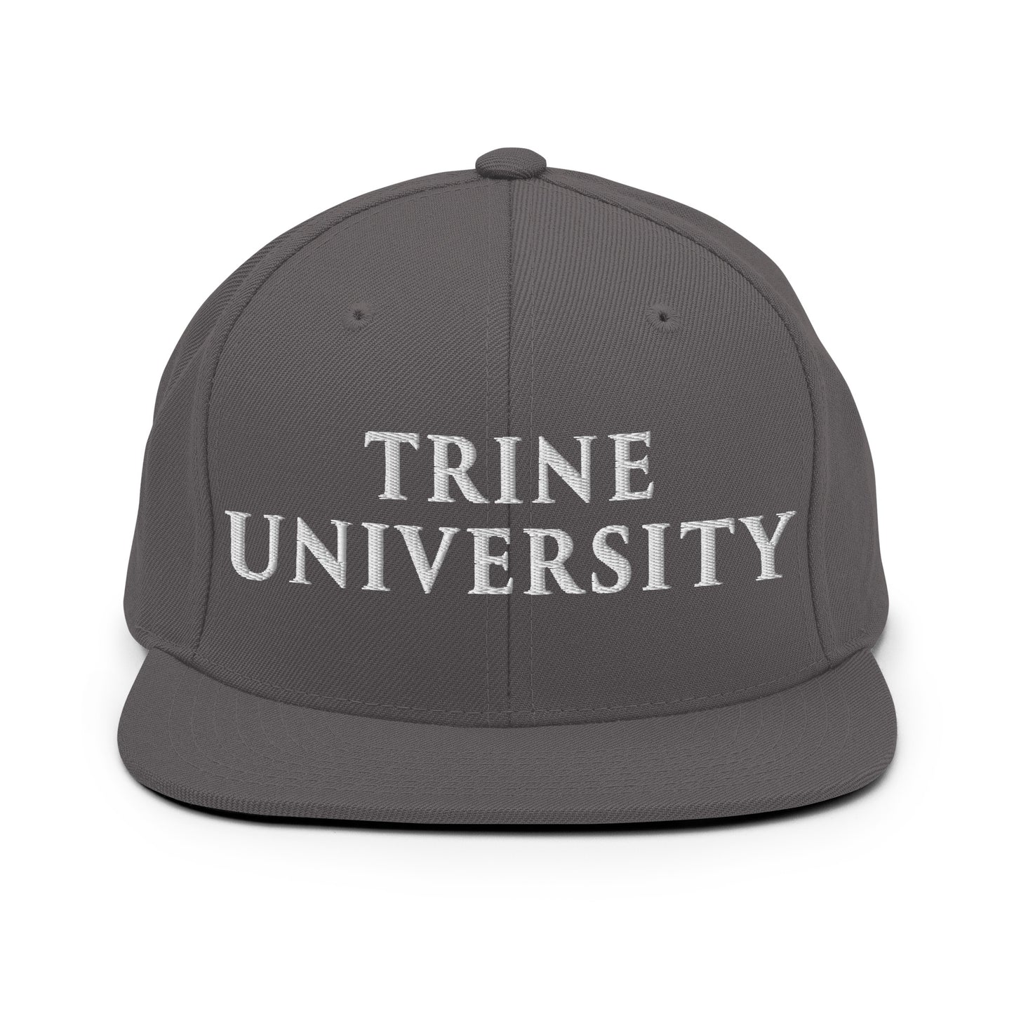Snapback Hat | Trine PA program | Modern Script Logo