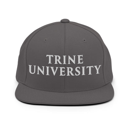 Snapback Hat | Trine PA program | Modern Script Logo