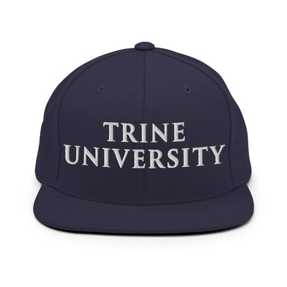 Snapback Hat | Trine PA program | Modern Script Logo