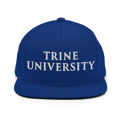 Snapback Hat | Trine PA program | Modern Script Logo