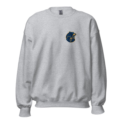 Classic | Sweatshirt | Bruins The Evolution | Vanguard Bears Logo