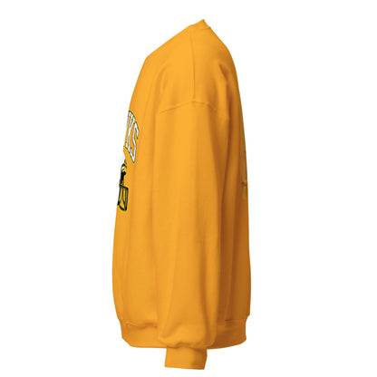 Classic | Sweatshirt | Cardinal Ohara Hawks | Football Helmet Logo