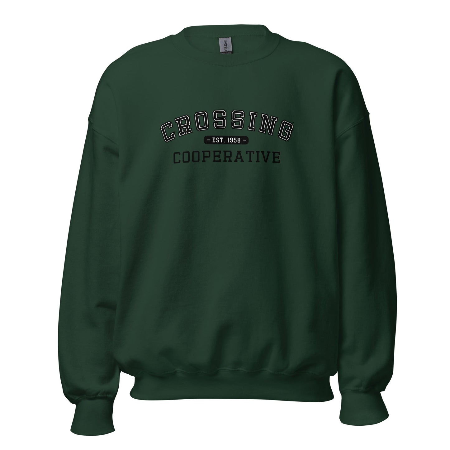 Classic | Sweatshirt | CCNS | Collegiate Logo