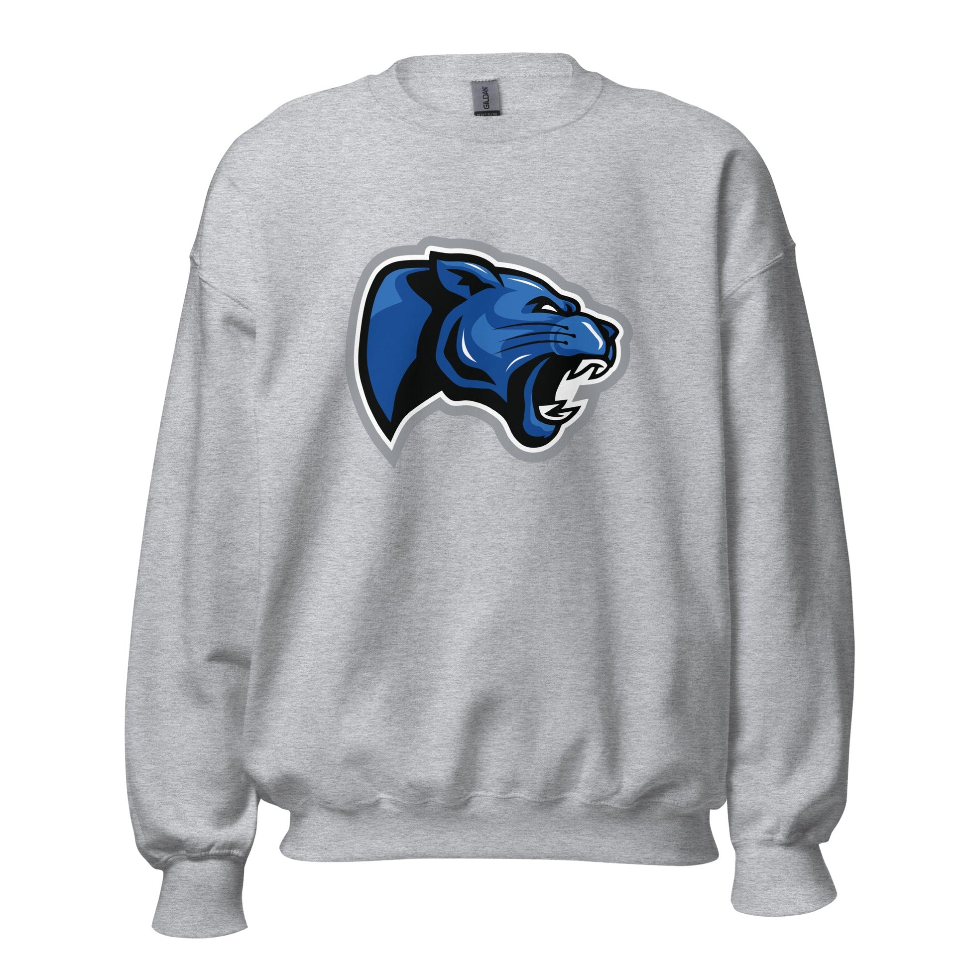 Classic | Sweatshirt | Denmark Technical College
