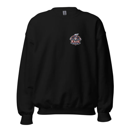 Classic | Sweatshirt | Erie Express Football | Badge Logo