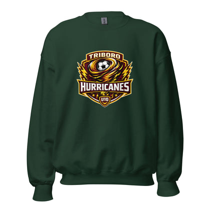 Classic | Sweatshirt | Hurricanes | Shield Logo