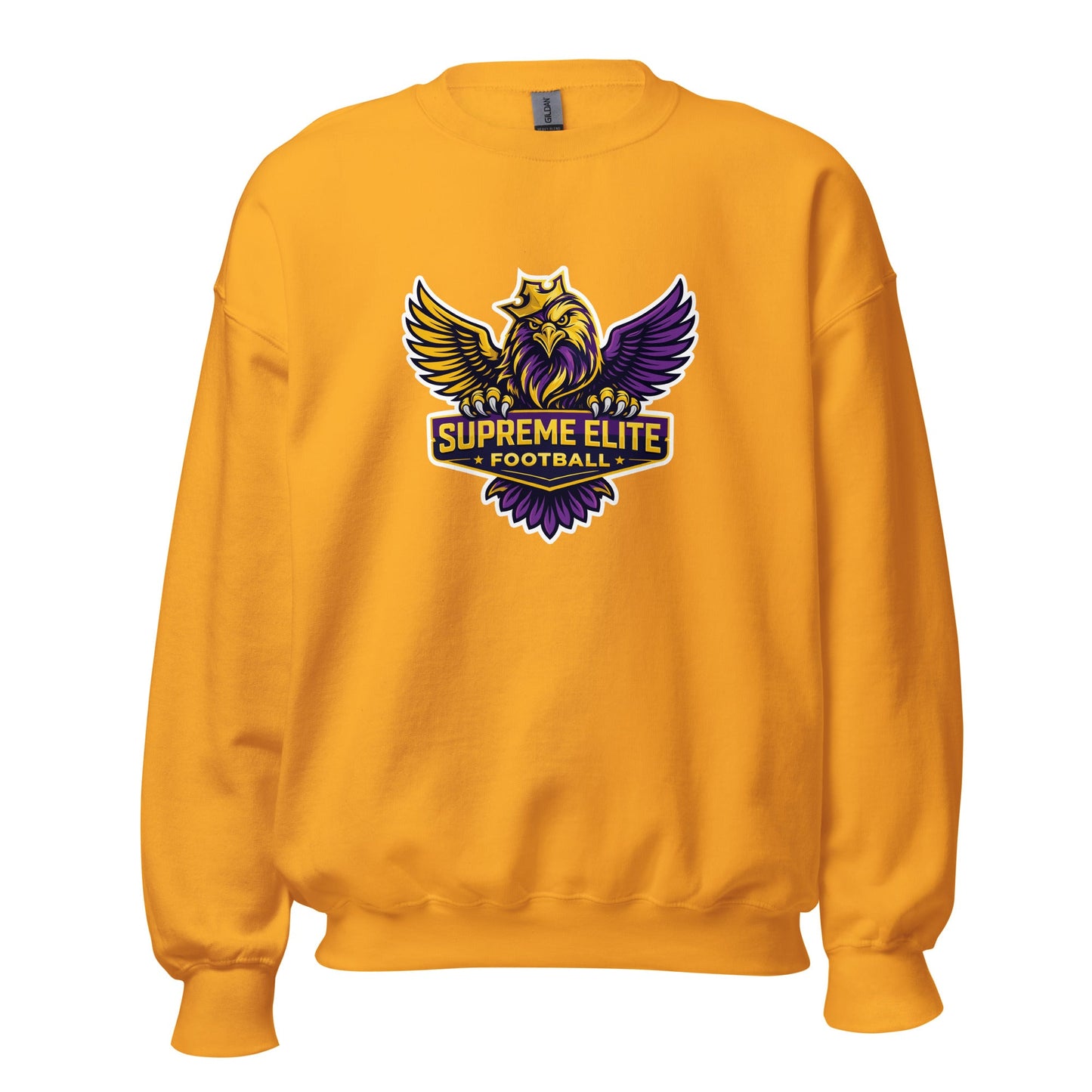 Classic | Sweatshirt | Iron eagle | SEF Logo