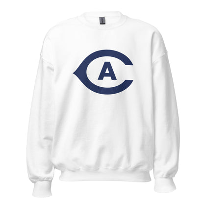 Classic | Sweatshirt | UCD FF