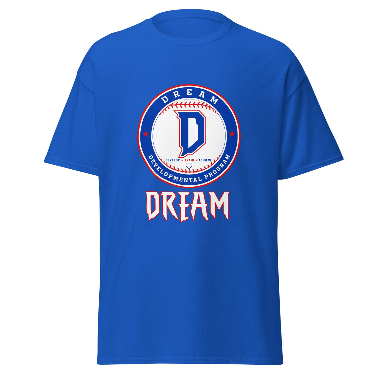Classic | T-Shirt | Dream Developmental Program | Valor Logo