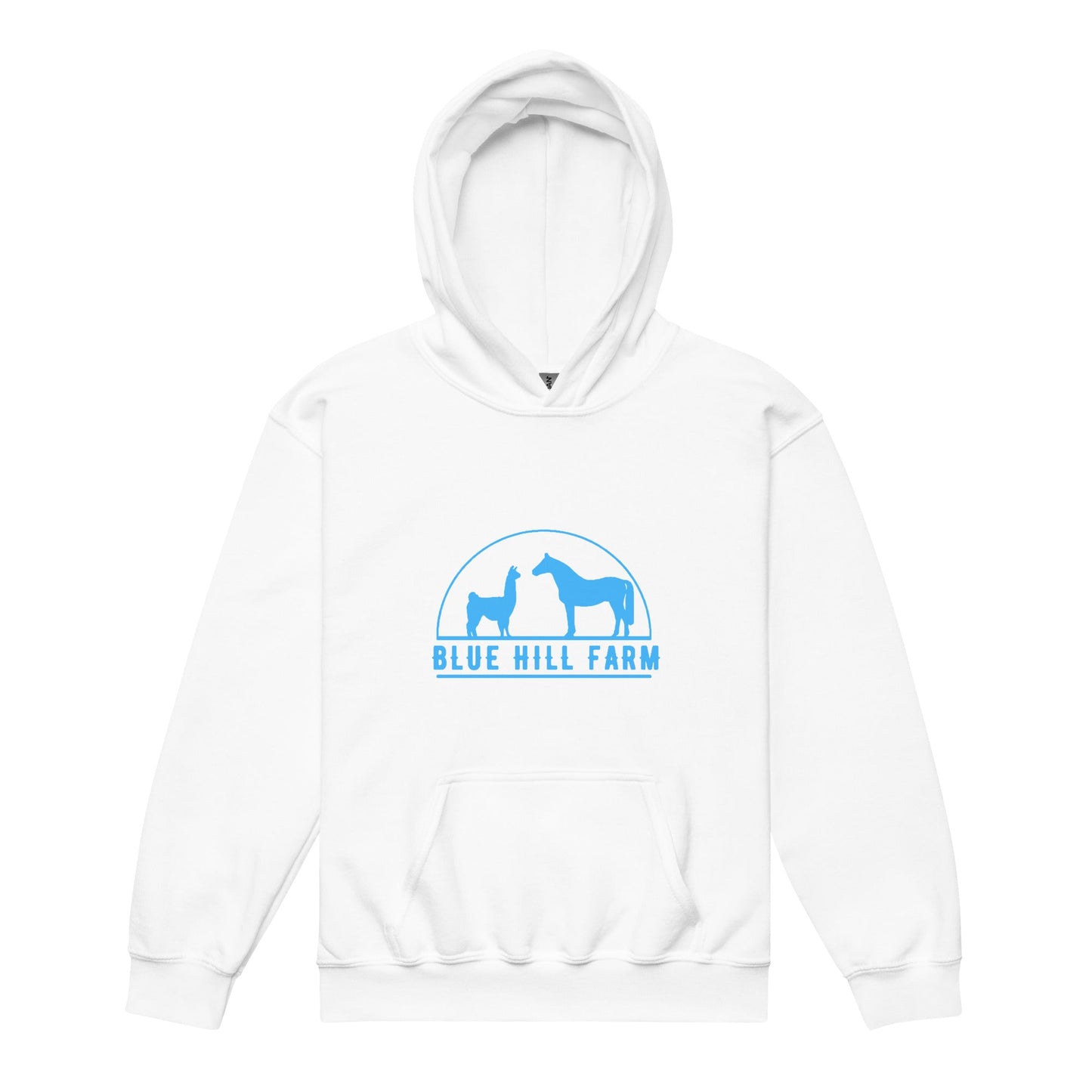 Classic | Youth Hoodie | Blue Hill Farm | Emblem Logo
