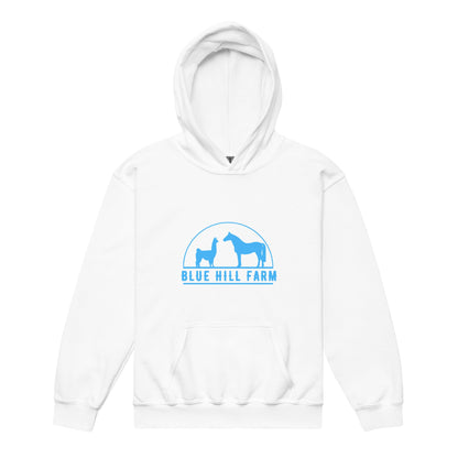 Classic | Youth Hoodie | Blue Hill Farm | Emblem Logo