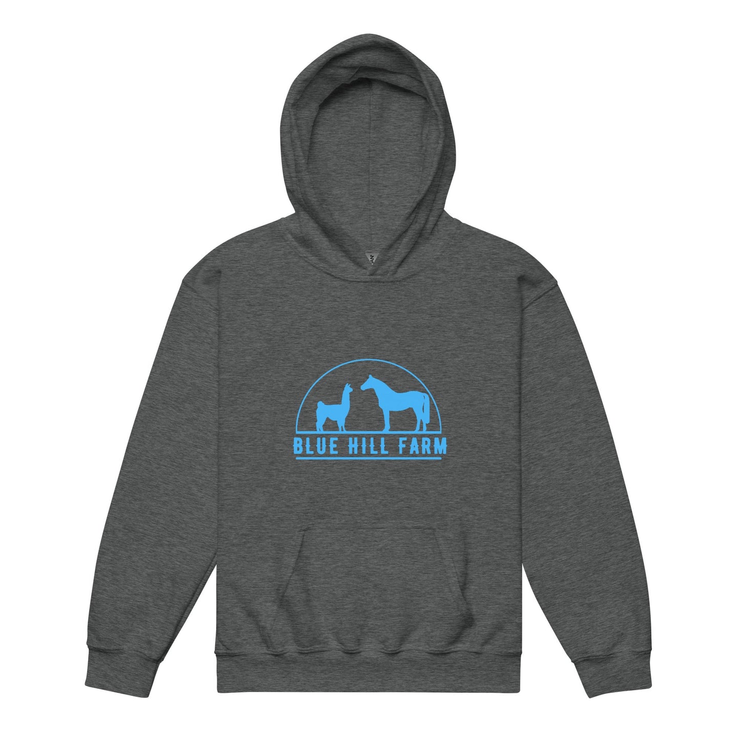 Classic | Youth Hoodie | Blue Hill Farm | Emblem Logo
