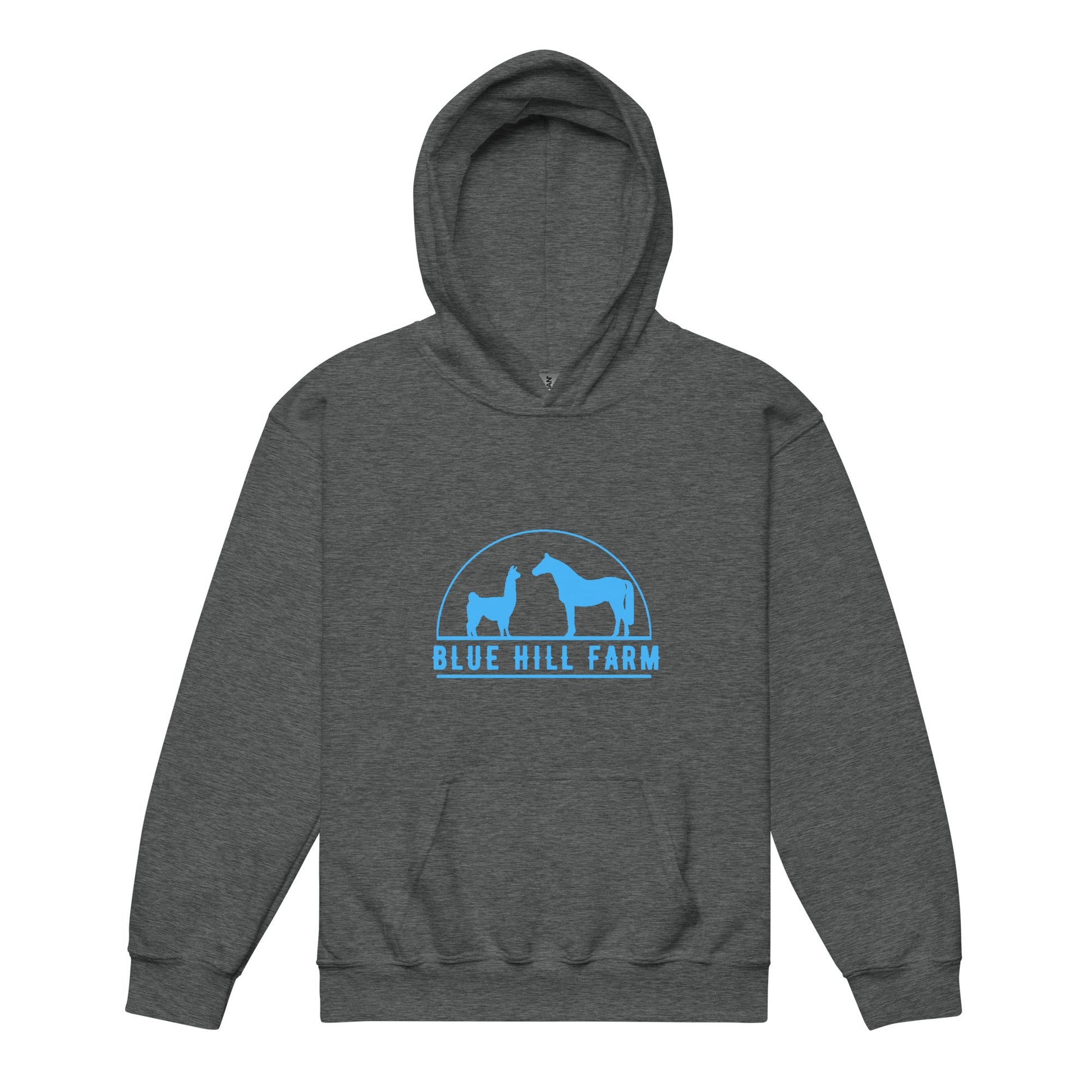 Classic | Youth Hoodie | Blue Hill Farm | Emblem Logo