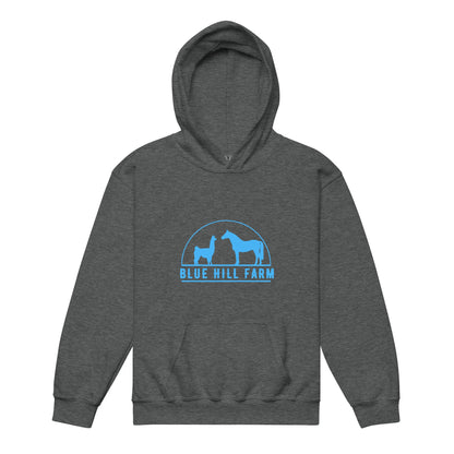 Classic | Youth Hoodie | Blue Hill Farm | Emblem Logo