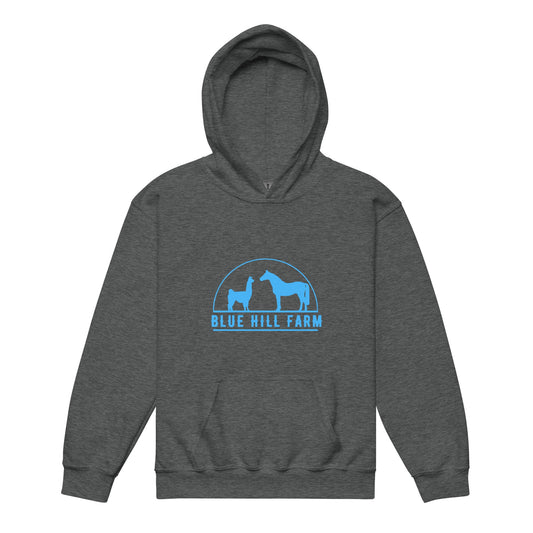 Classic | Youth Hoodie | Blue Hill Farm | Emblem Logo