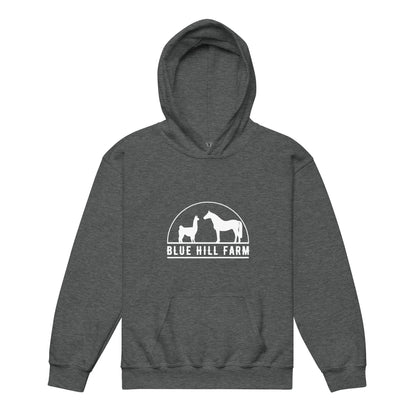 Classic | Youth Hoodie | Blue Hill Farm | Ranch Logo
