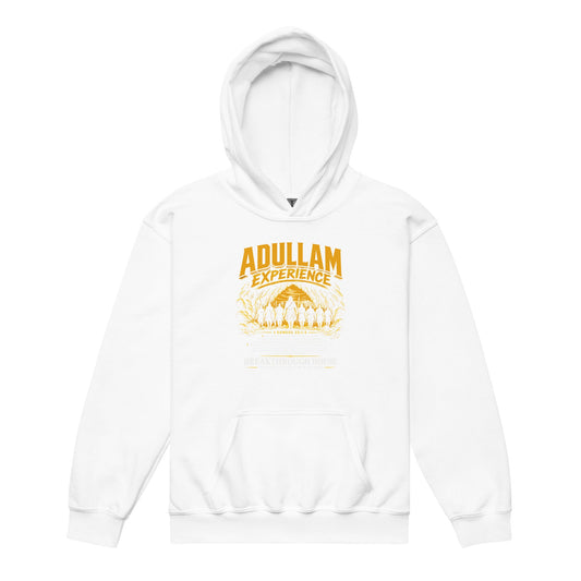 Classic | Youth Hoodie | Breakthrough House International Ministries | Emblem Logo