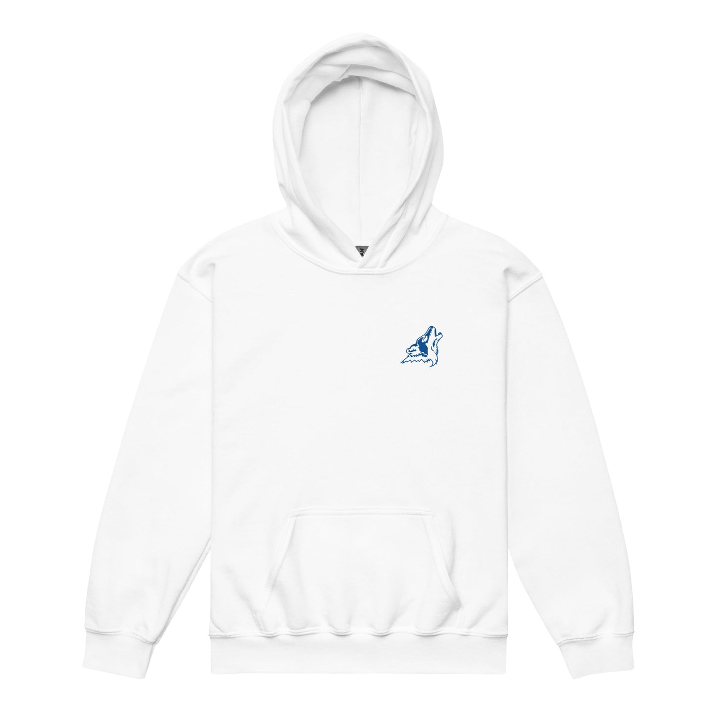Classic | Youth Hoodie | CSN Volleyball | CSN White Alt Logo