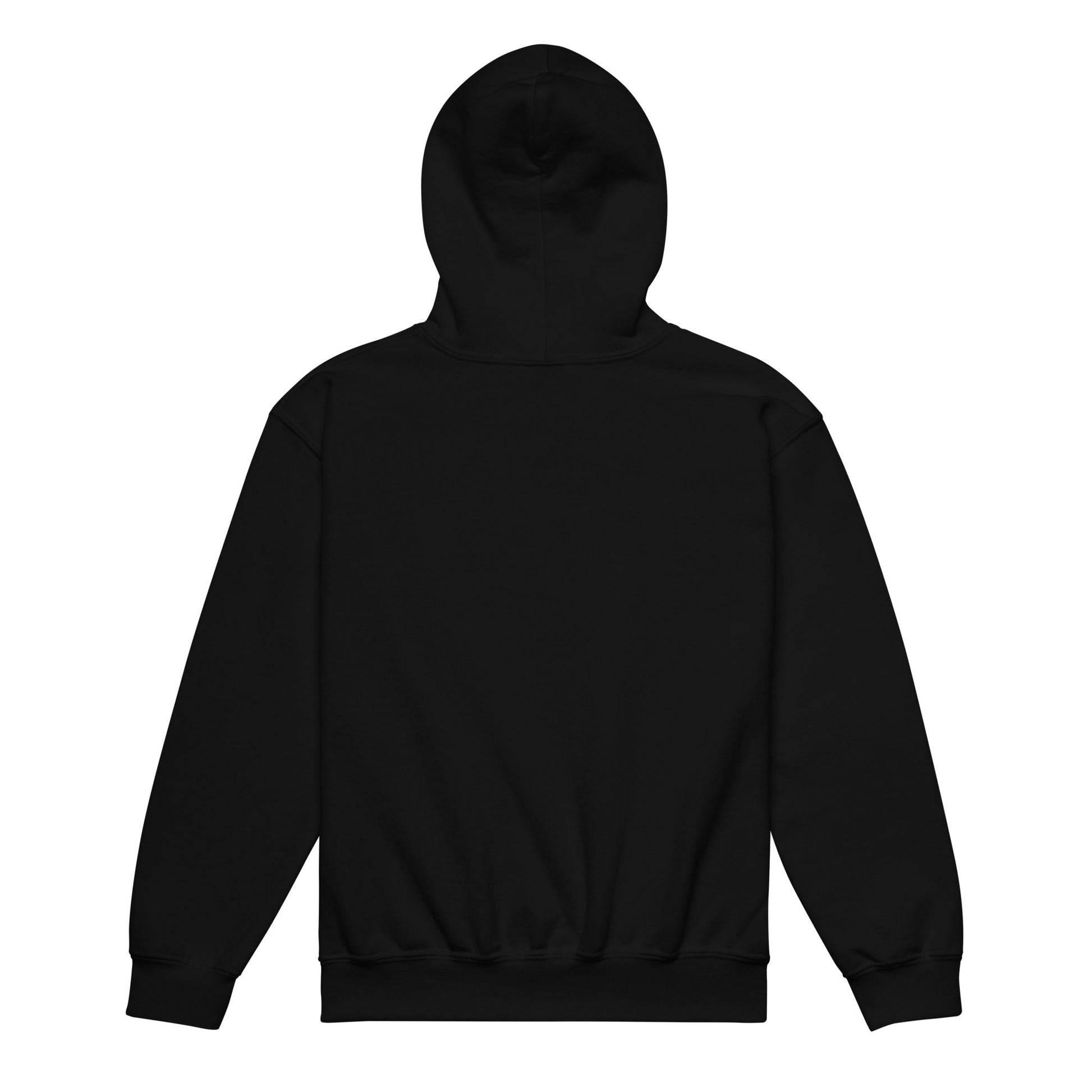 Classic | Youth Hoodie | Denmark Technical College | Baseball Logo