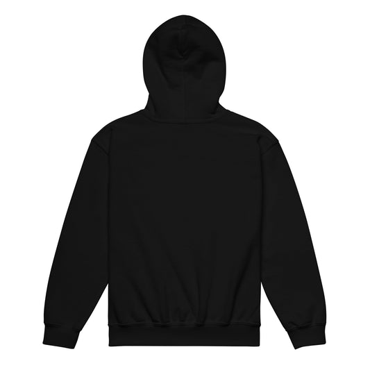 Classic | Youth Hoodie | Denmark Technical College | Baseball Logo