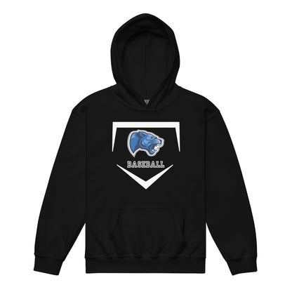 Classic | Youth Hoodie | Denmark Technical College | Baseball Logo