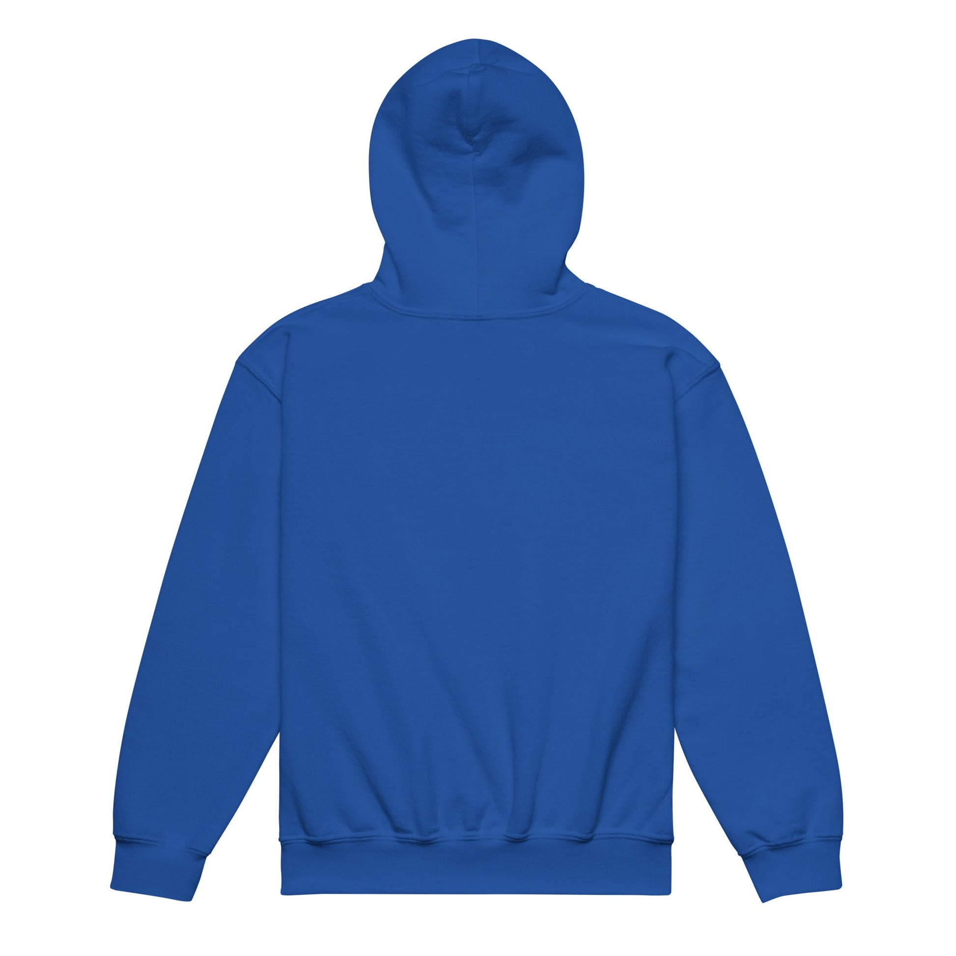 Classic | Youth Hoodie | Denmark Technical College | Baseball Logo