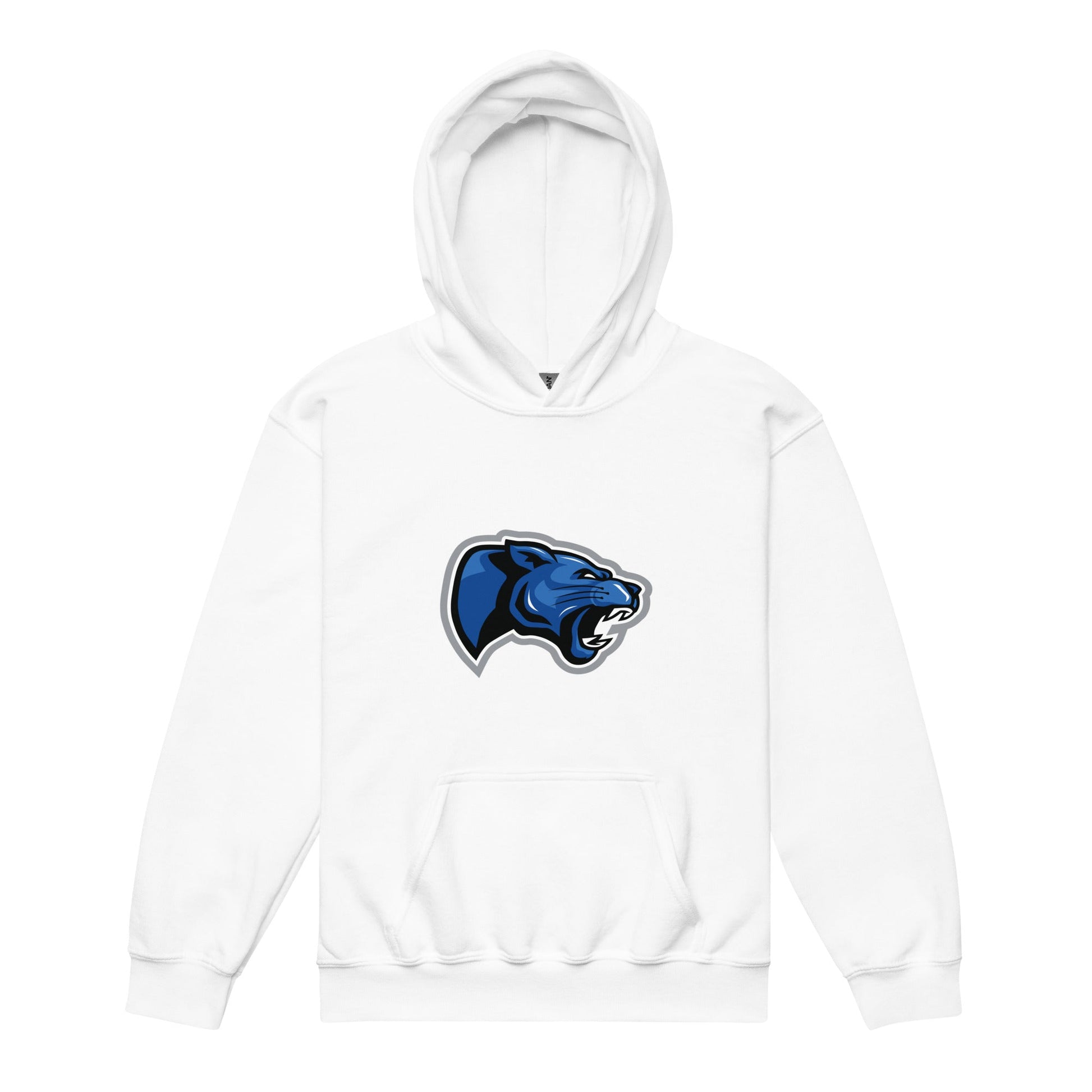 Classic | Youth Hoodie | Denmark Technical College